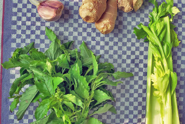 Ingwerhühnchen vietnamesisch Segelrezept für Kombüse oder Camping