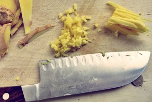 Ingwerhühnchen vietnamesisch Segelrezept für Kombüse oder Camping