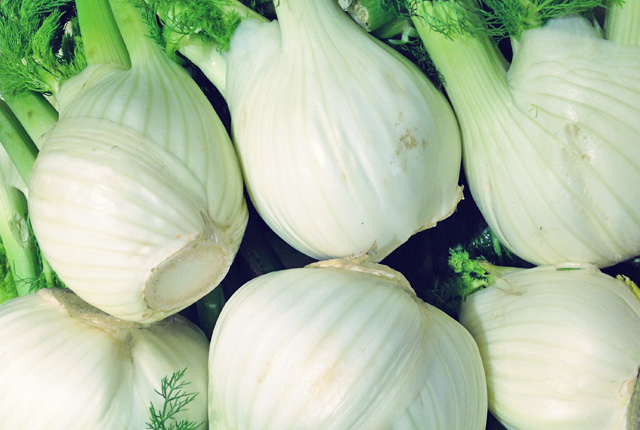 one pot fenchel fenchel einkauf