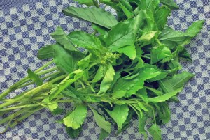 Knoblauchzehe Proviant Segel und Campingküche