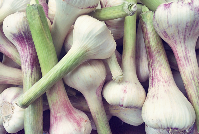 Pad Krapao junger Knoblauch