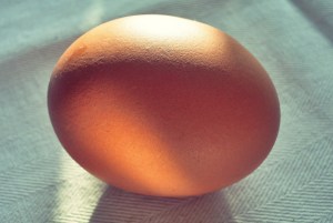 Knoblauchzehe Proviant Segel und Campingküche