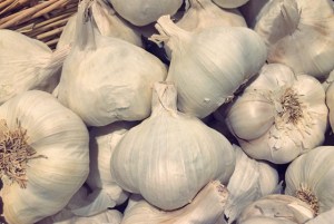 Knoblauchzehe Proviant Segel und Campingküche