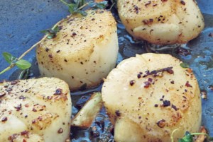 Spargelsuppe Rezept. Was kochen beim Segeln und Camping