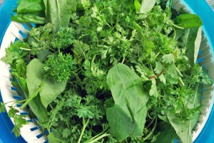 Grüne Soße, kaltes Kräuter Rezept für Sommer, Segeln und Outdoor