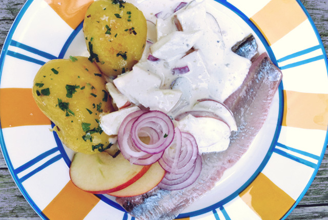 Midsommer matjes auf Teller2