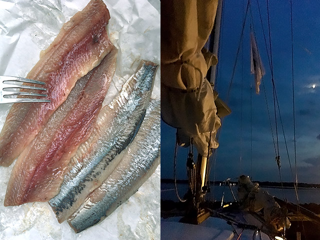 Hering und Midsommar