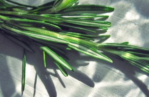 Paella Segelrezept, was kochen beim Segeln.