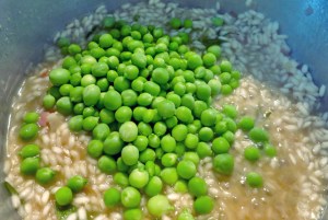 Erbsen Risotto Segeln Pantry Kombüse