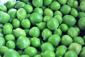 Erbsen Risotto Segeln Pantry Kombüse