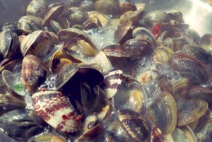 Spaghetti Vongole Rezept für Segler, Camper und Kombüsen