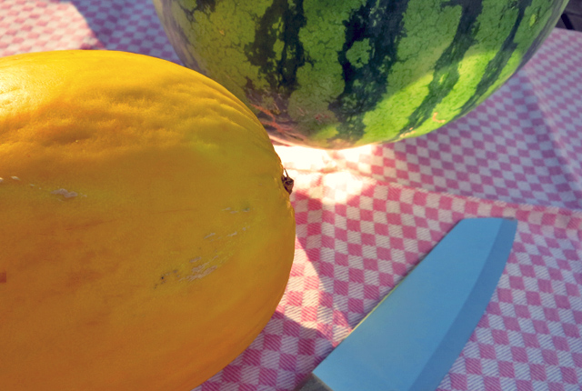 Wassermelonen Salat- Sommerliches Rezept für die Kombüse
