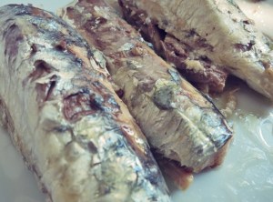 Ölsardinen, was kochen beim Segeln