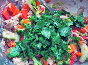 Ölsardinen, was kochen beim Segeln