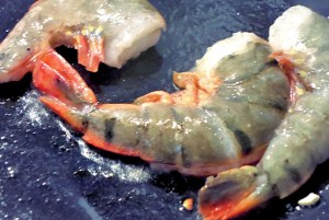 Proviant Bordküche Segeln Kombüse