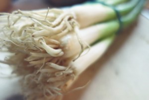 Was kochen beim Segeln oder in der Kombüse? Tofu.