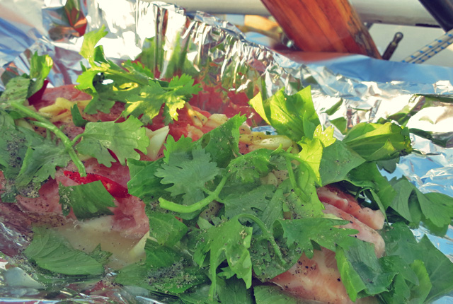 Lachs, frischer Fisch Segelrezept, BBQ und Outdoor