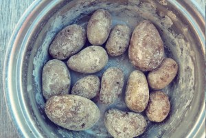 Was kochen Segeln BBQ Camping