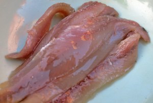 Puttanesasca Bordrezept: Was kochen beim Segeln und in der Kombüse?