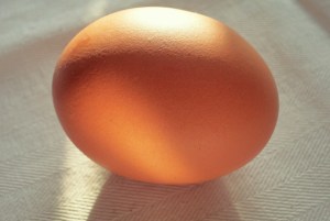 Senfeier- Rezept für Bordküche und Pantry, Segeln