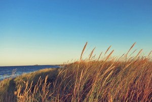 Samsoe- Kulinarische Entdeckungen auf einem Segeltörn