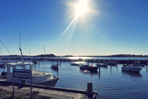 Samsoe- Kulinarische Entdeckungen auf einem Segeltörn