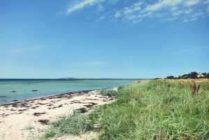 Rund Samsö, ein kulinarischer Segeltörn