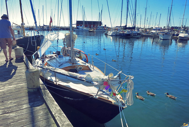 Samsoe, Segeln Törnziel und kulianarische Empfehlungen