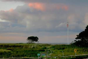 Törnziel Segeln kulinarisch Schleimünde