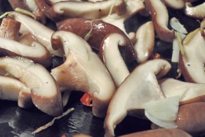 Wok Nudeln. Was kochen beim Segeln und in der Kombüse?