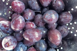 Kochen und Backen auf Segelboot -Yacht und in der Kombüse