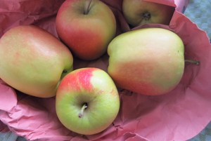 Kochen und Backen auf Segelboot -Yacht und in der Kombüse