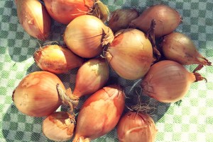 Bordküche: Was kochen auf beim Segeln oder in der Kombüse?