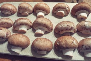 Bordküche: Was kochen auf beim Segeln oder in der Kombüse?