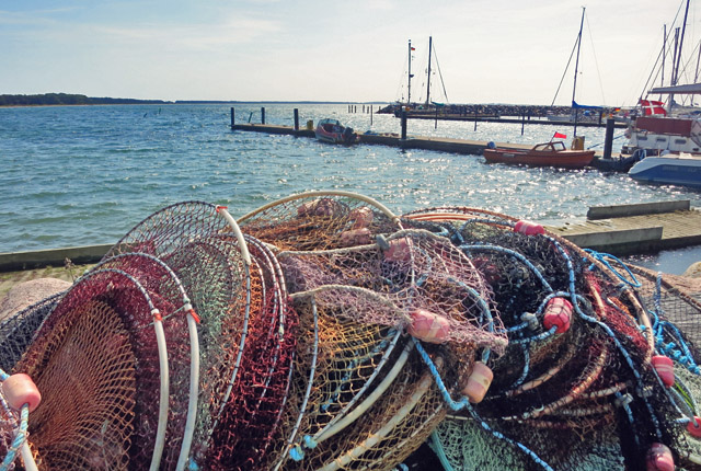 Rund Samso, ein kulinarischer Segeltörn