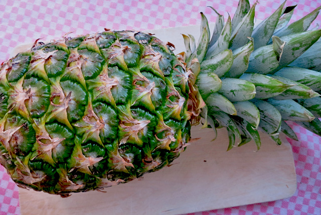 Bordküche. Was kochen bei einem Segeltörn?