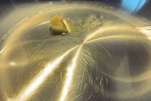 Rezept für Segeltörn Vegetarisch Bordküche