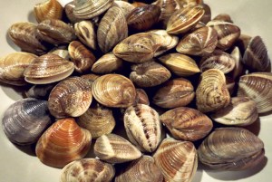 Mediterrane Bordküche. Segelrezept