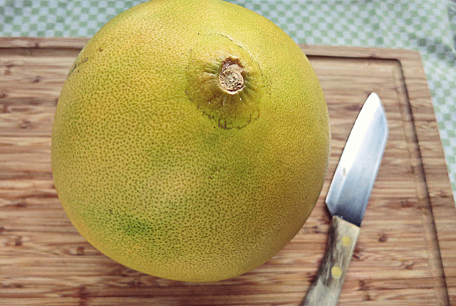 Pomelosalat Rezept für Segeln und Camping