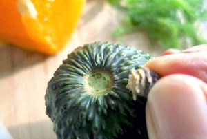 Segel-Rezept Wintersalat mit Avoacado für die Kombüse