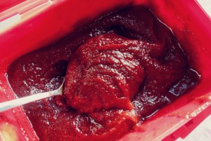 Kimchi Suppe Eintopf Segler rezept Kombüse