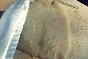 Bordrezept Kimchi EIntopf mit Sepia