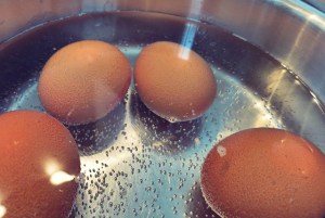 Chinesische Tee-Eier Ostern Segel Rezept Kombüse