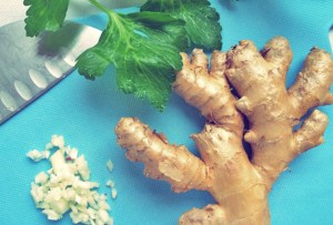 Meine 10 besten Segelrezepte