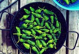 Pimientos de Padron, veganes BBQ und segelrezept
