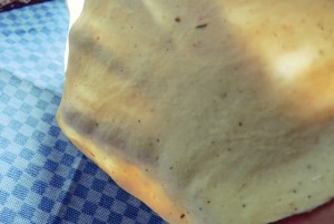 Dinkel Tacos vegan mit Spargel Segel Rezept Kombüse