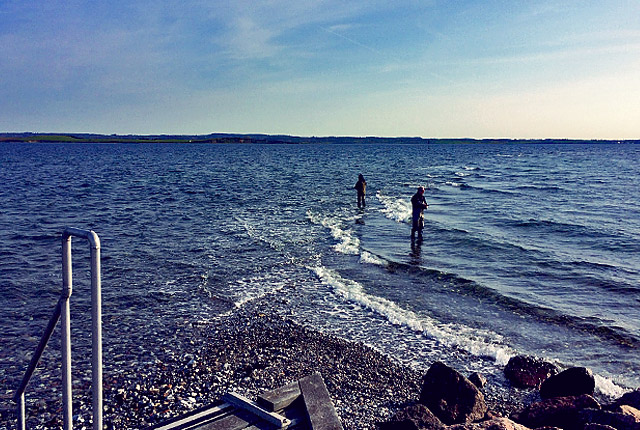 Avernakø Angler auf Sandbank!