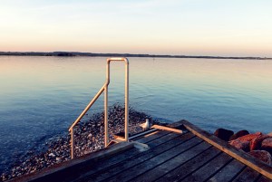 Avernakø Möve an Grill Diebstahl