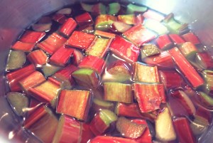 Rhababersirup selbst eingekocht von "Die See kocht"