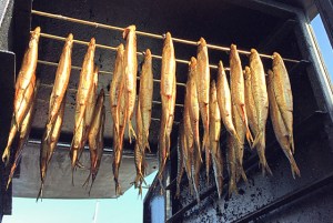 Bordrezept Segeln Spargelsuppe mit Aal oder Räucherlachs